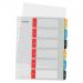 LEITZ Cosy PC writable Index 1-6 multicolor - Outer carton of 20 12460000