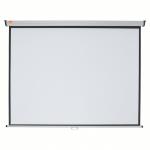 Nobo Wall Projection Screen Home Theatre SportsCinema 16:10 Screen Format (2000x1350mm) 1902393W