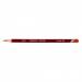 Derwent Pastel Pencil Burnt Orange 2300238