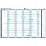 Sasco 2025 Value Year Wall Planner, Blue, Board Mounted, 915mmW x 610mmH - Outer Carton of 10 2410259