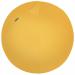 Leitz Active Sitting Ball, Ergonomic Design, 65cm Dia, Includes 100% Cotton Cover, Inner Ball, Hand Air Pump & 2 x Plugs, Ergo Cosy Range, Warm Yellow 52790019