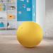 Leitz Active Sitting Ball, Ergonomic Design, 65cm Dia, Includes 100% Cotton Cover, Inner Ball, Hand Air Pump & 2 x Plugs, Ergo Cosy Range, Warm Yellow 52790019