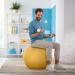 Leitz Active Sitting Ball, Ergonomic Design, 65cm Dia, Includes 100% Cotton Cover, Inner Ball, Hand Air Pump & 2 x Plugs, Ergo Cosy Range, Warm Yellow 52790019