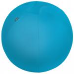 Leitz Active Sitting Ball, Ergonomically Designed, 65cm Diameter, Includes Fabric Ball Cover, Hand Air Pump & 2 x Plugs, Ergo Cosy Range, Calm Blue 52790061