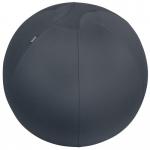 Leitz Active Sitting Ball, Ergonomically Designed, 65cm Diameter, Includes Fabric Ball Cover, Hand Air Pump & 2 x Plugs, Ergo Cosy Range, Velvet Grey 52790089