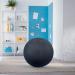 Leitz Active Sitting Ball, Ergonomically Designed, 65cm Diameter, Includes Fabric Ball Cover, Hand Air Pump & 2 x Plugs, Ergo Cosy Range, Velvet Grey 52790089