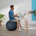 Leitz Active Sitting Ball, Ergonomically Designed, 65cm Diameter, Includes Fabric Ball Cover, Hand Air Pump & 2 x Plugs, Ergo Cosy Range, Velvet Grey 52790089