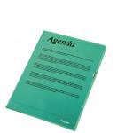 Esselte Quality Folder, Holds up to 40 A4 sheets, Transparent, Matte, Green, 115 Micron Polypropylene (Pack 100) 54838