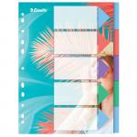 Esselte Colour Breeze A4 Indices 5 Tabs PP - (1 Pack of 20) 628498