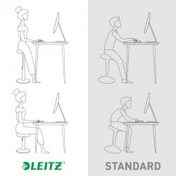 Leitz Active Sit Stand Stool