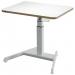 Leitz Ergo Small Electric Sit Standing Desk with Stand-Up Reminder 65341001