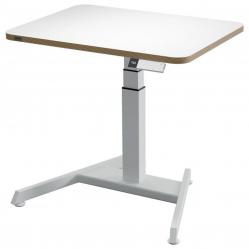 Leitz Sit Stand and Height Adjustable Desks