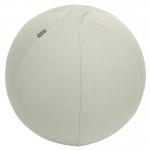 Leitz Ergo Active Sitting Ball, Ergonomically Designed Desk Chair Alternative, 55cm Dia, Inc. Fabric Cover, Hand Air Pump & 2 x Plugs, Grey, 65410085 65410085