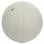 Leitz Active Sitting Ball with stopper function 55cm 65410085