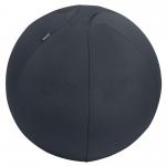 Leitz Active Sitting Ball with stopper function 55cm 65410089