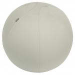 Leitz Ergo Active Sitting Ball, Ergonomically Designed Desk Chair Alternative, 65cm Dia, Inc. Fabric Cover, Hand Air Pump & 2 x Plugs, Grey, 65420085 65420085