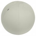 Leitz Active Sitting Ball with stopper function 65cm 65420085