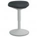 Leitz Ergo Active Sitting Stool with Comfort Seat 65440085