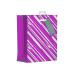 Giftmaker Vertical Stripe Gift Bag Medium (Pack of 6) FCSM