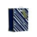 Giftmaker Vertical Stripe Gift Bag Medium (Pack of 6) MGSM