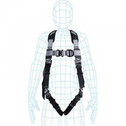 Arco Harnesses