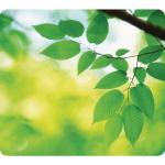 Fellowes Earth Series Mouse Mat Recycled Leaf Print 5903801 BB54281