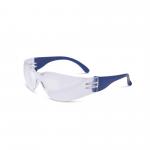 Beeswift Everson Safety Spectacle Clear  BBES