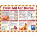 First Aid For Burns Poster 