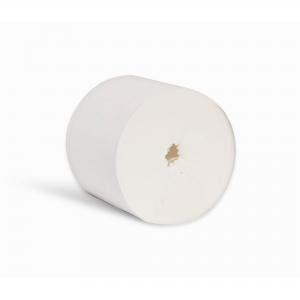 Image of Esfina 2Ply Coreless Toilet Roll White NWJCL100PN