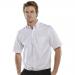 Oxford Shirt Short Sleeve White 15