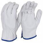 Beeswift Soft Grain Leather Unlined Drivers Glove Pearl (Box of 10) QUDGPHNXL