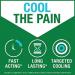 Biofreeze Pain Relief Gel 118ml Pack of 6 3228850 BFZ40289