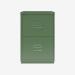 Bisley F-Series Filer Olive Green 2 Drawer