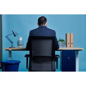 Bisley Buddy, no lock Black