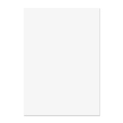 Blake Premium Business High White Wove Paper 210x297mm 120gsm Pack 50 Code 35676 35676