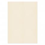 Blake Premium Business Cream Wove Paper 210x297mm 120gsm Pack 50 Code 61676 61676