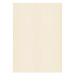 Blake Premium Business Cream Wove Paper 210x297mm 120gsm Pack 50 Code 61676 61676