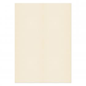 Blake Premium Business Cream Wove Paper 210x297mm 120gsm Pack 50 Code 61676 61676