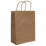 Blake VITA Brown  Twist Handled Carrier Bag 180 x 80 x 240mm 80gsm Pack 300 Code PCT610 PCT610