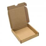 Blake Purely Packaging KRAFT Peel and Seal 102x110x20mm Pack 25 PIPBX01