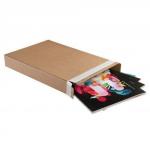 Blake Purely Packaging KRAFT Peel & Seal Carton Box 165x16x240mm 120 Pack 25 PPB20