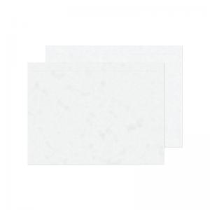 GoSecure Document Envelopes Document Enclosed Peel and Seal C4 Plain