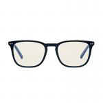 Bolle Safety Glasses Wellington Unisex Problu Glasses BOL01413