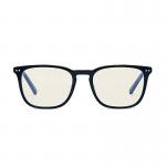 Bolle Safety Glasses Wellington Unisex Problu Glasses BOL01413