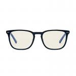 Bolle Safety Glasses Wellington Unisex Problu Glasses BOPRBWELL108 BOL01413