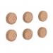 Earth Cork Magnets (Pack of 6) IM036201 BQ30362