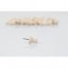 Bi-Office Wooden Push Pins (Pack of 20 PI3203 BQ48008