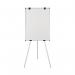 Earth Kyoto Tripod Magnetic Easel EA14406174 BQ50009