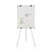 Earth Kyoto Tripod Magnetic Easel EA14406174 BQ50009