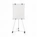 Earth Kyoto Mobile Magnetic Easel